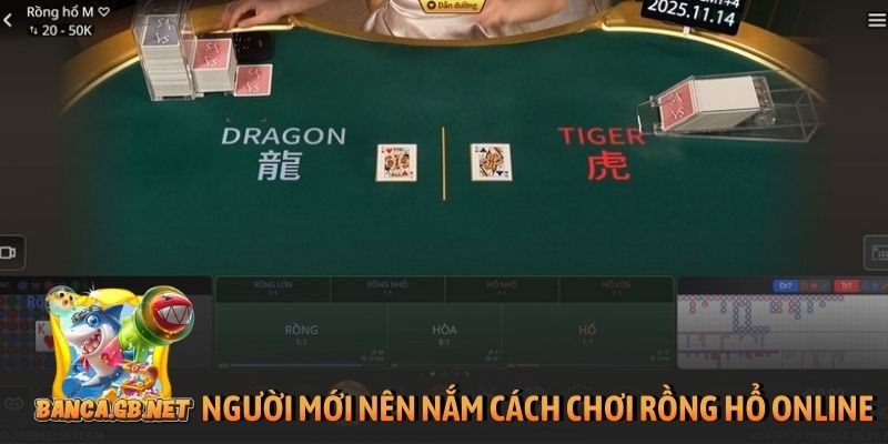 Người mới nên nắm chắc cách chơi rồng hổ online