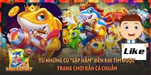 Từ những cú “sập hầm” đến khi tìm được trang chơi bắn cá chuẩn